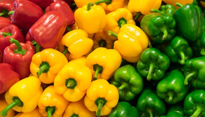 المغرب يحطم رقما قياسيا جديدا في صادرات الفلفل الحلو للسنة الخامسة على التوالي