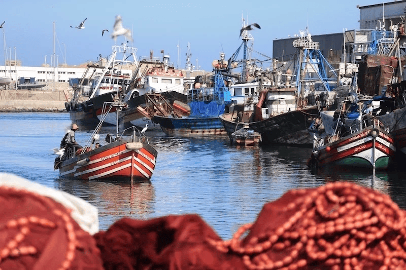اليوم العالمي للبحارة.. دعوات لتسريع بناء منظومة بحرية وطنية متكاملة
