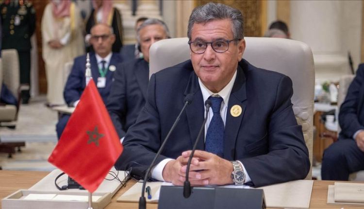 أخنوش من منظمة التعاون والتنمية الاقتصادية: طموح المغرب أن يصبح أكثر قوة وتنافسية