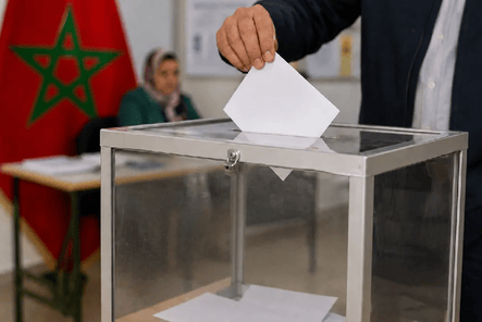 انتخابات 2026.. أزيد من 3000 ملاحظ يواكبون الاستحقاق التشريعي في مختلف جهات المملكة