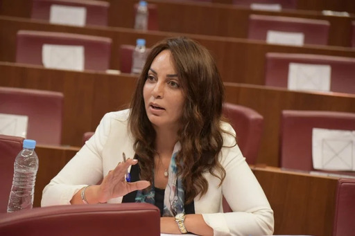 بعد إعفائها من الحكومة.. ماديحة خيير تستعد لمغادرة مجلس النواب